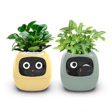 Viral PlantPal <3